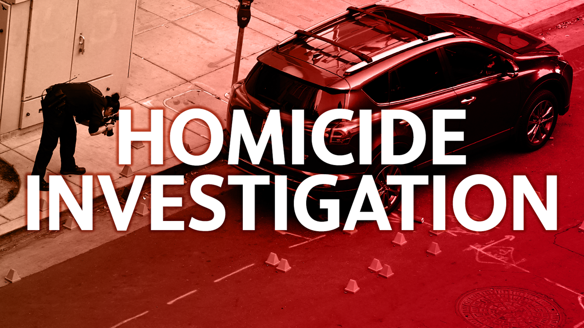 Homicide investigation
